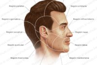 Cara Pilih Moisturizer Mengikut Cuaca Malaysia
